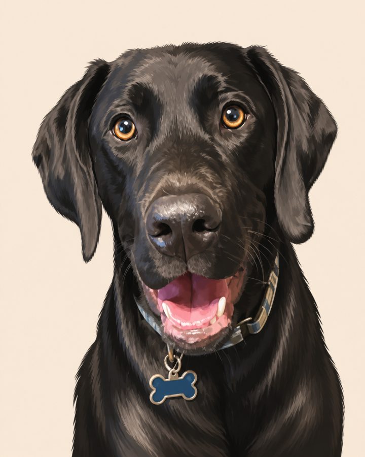 Modern Illustrated Portrait portrait of Luna, a black cat