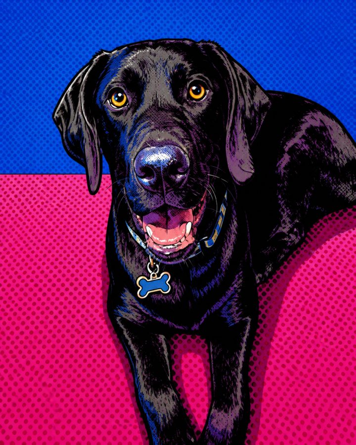 Pop Art portrait of Luna, a black cat